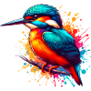 Kingfisher