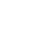 Propriété d’un Schnoodle