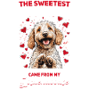Propriétaire de chien Goldendoodle