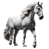Cheval Gris Blanc