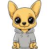 Chihuahua Dog Funny