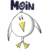 Möwe Moin Anker