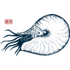 Nautilus Snail Japanese Art