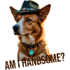 Cool dog