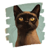 Burmese Burma Cat Retro