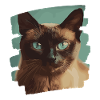 Burmese Burma Cat Retro