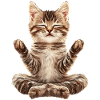 Katze