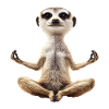 Erdmännchen