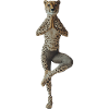 Gepard