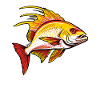 Red and golden fish