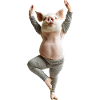 Schwein