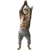 Bengalen