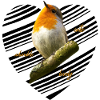 Robin Songbird