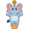 Elephant Flower