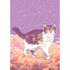 CLOUD CAT