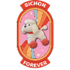 Bichon forever rainbow