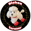 Bichon forever paillettes rond