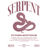 Burmesische Python Moderne Reptilienhalter Streetwear