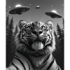 OVNI Drôle de tigre