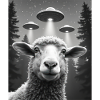 UFO Funny Sheep