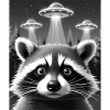 UFO Funny Raccoon
