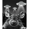 UFO Funny Mouse