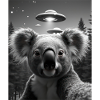UFO Funny Koala Bear