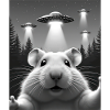 UFO Funny Hamster