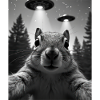 UFO Funny Squirrel