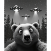UFO Funny Bear