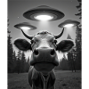 UFO Funny Cow