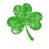 Trèfle - Saint-Patrick - Irlande