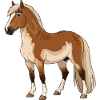 Cheval du fjord réel