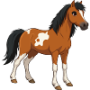 Horse small real