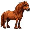 Highland Pony reel