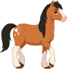 Falabella pony real