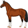 Hackney Pferd echt