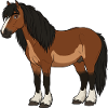 Fell horse real
