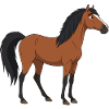 Konik horse real