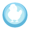 Chicken Poultry