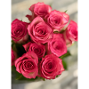 PINK ROSES