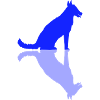 Dog Mirrored Shadow Reflection