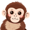 Monkey Monkey