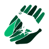 Frog Newt Quark