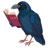Mysterious Raven