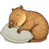 Cute sleeping capybara