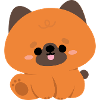 Cute German Shepherd