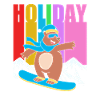 Snowboard Snowboarding Snowboard Holidays Snowboarders