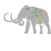 Mammoth