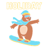 Snowboard Snowboarding Snowboard Holidays Snowboarders